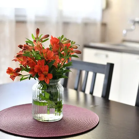 Apartamento Cozy 16a *